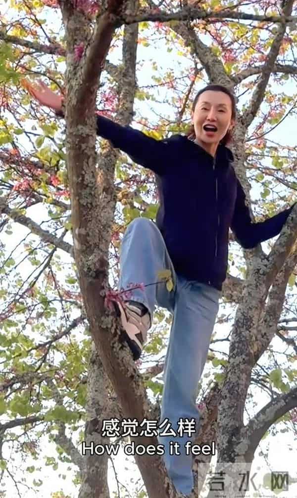 61岁张曼玉法国享受田园生活,开垦花园种果树,还亲自掏鸡蛋