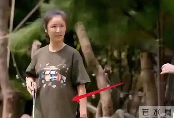 花无百日红!49岁林心如断崖式衰老,紫薇格格也老了,法令纹明显