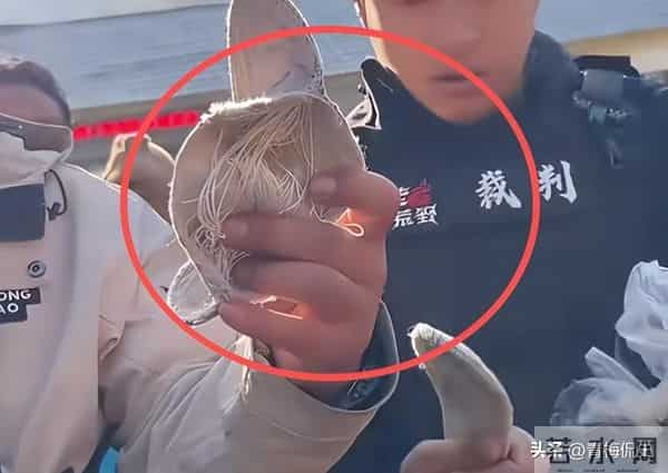 老中医退赛后续!开直播称被人做局,曝林北黑料 网友:吃相太难看