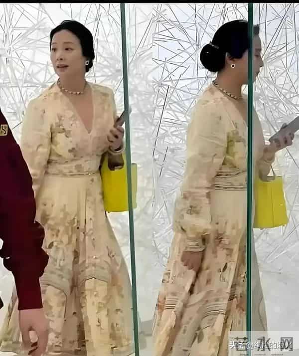 天呐！刘亦菲妈妈被偶遇，都65岁了，还是美得不像话！太让人羡慕