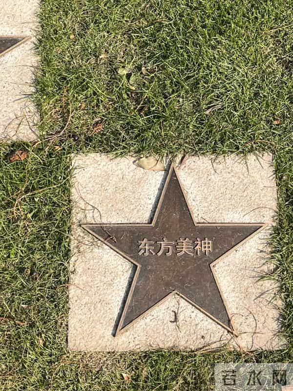 周洁上海墓地现状曝光!鲜花环绕很讲究,三个标志与李媛媛差别大