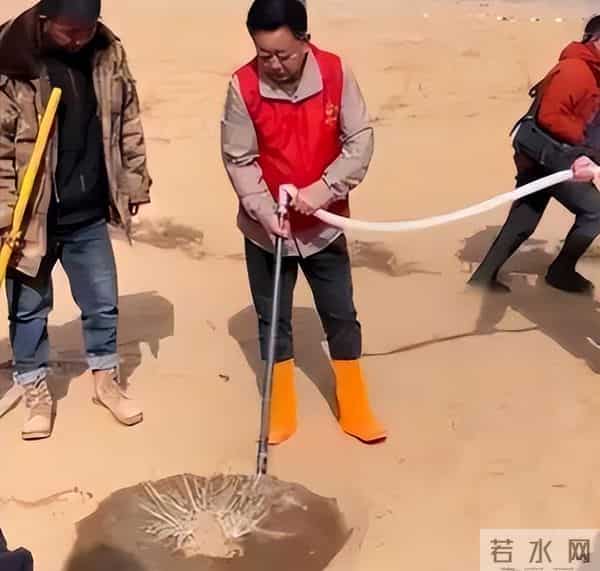 朱军带着很漂亮的老婆现身北大,四年冤屈过去,早已不再年轻