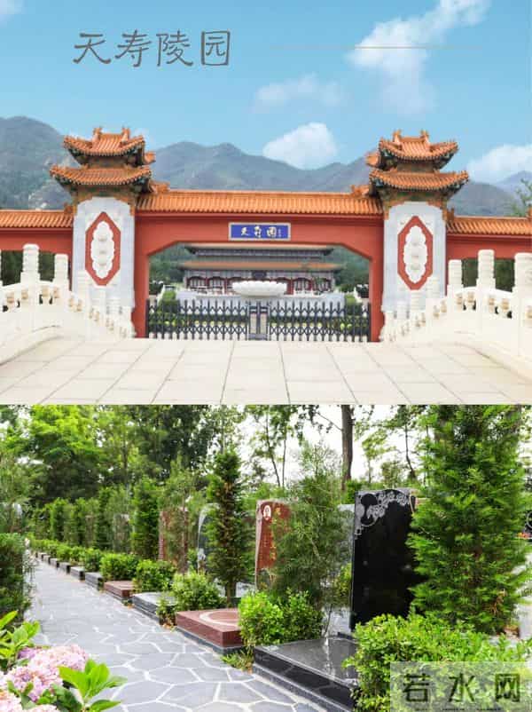 周洁上海墓地现状曝光!鲜花环绕很讲究,三个标志与李媛媛差别大