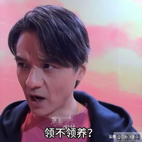 不是不想生孩子而是没能如愿，舒淇丈夫表示：能接受领养小孩