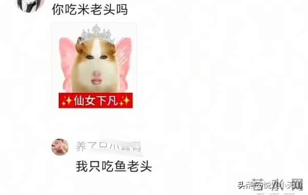 于和伟被传丑闻!一小女生对其穷追不舍,内容炸裂,知情者曝原因