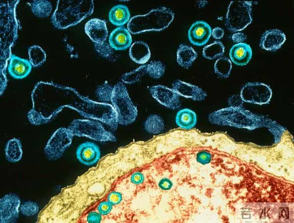 41岁知名女歌手自曝:已确诊!目前无有效治疗手段…这些都是高风险人群→