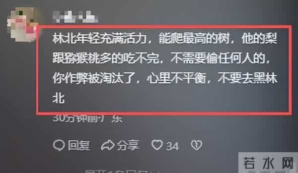 荒野求生老中医作弊退赛,直播怒骂主办方不公平,林北也被波及