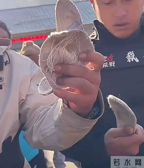 荒野求生老中医作弊退赛,直播怒骂主办方不公平,林北也被波及