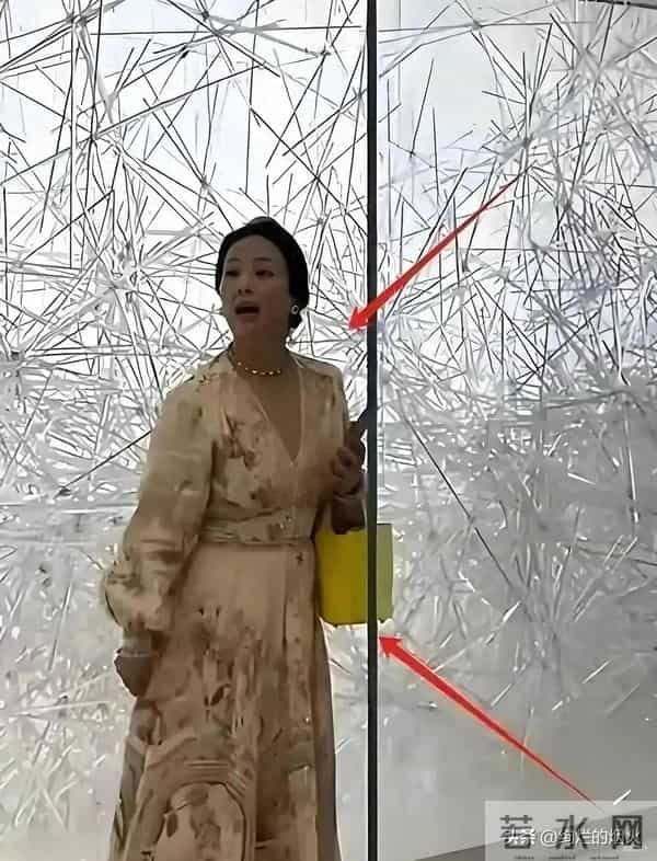 天呐！刘亦菲妈妈被偶遇，都65岁了，还是美得不像话！太让人羡慕