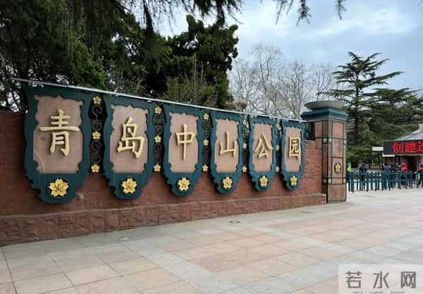 倪萍:父亲到死我都没喊他一声“爸”,母亲的仇恨教育刻骨铭心