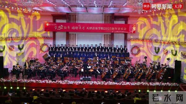 天津音乐学院为什么选择王宏伟做院长?做得合格吗?