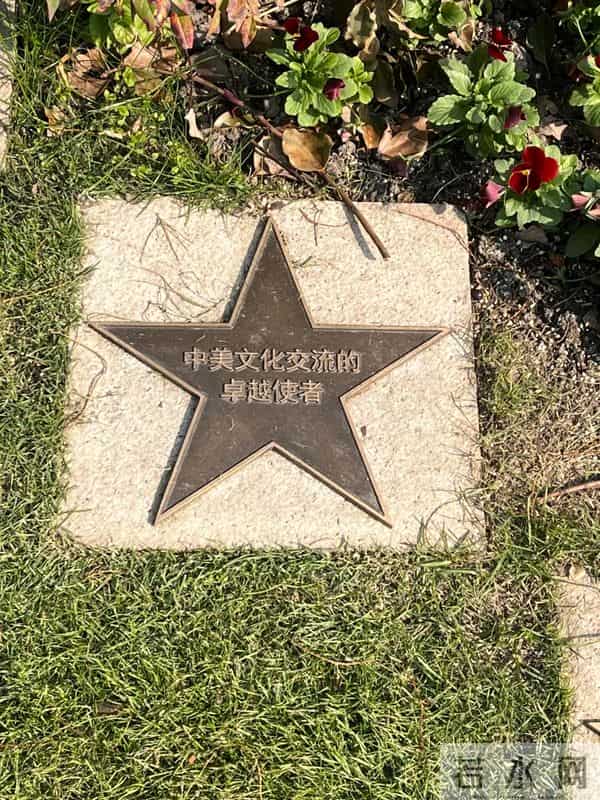 周洁上海墓地现状曝光!鲜花环绕很讲究,三个标志与李媛媛差别大