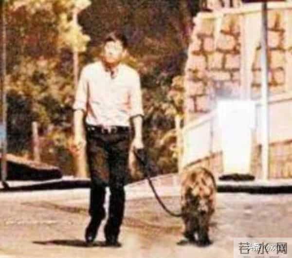 22年过去了，曾发誓要为张国荣终身不娶的唐鹤德，说到做到了吗？