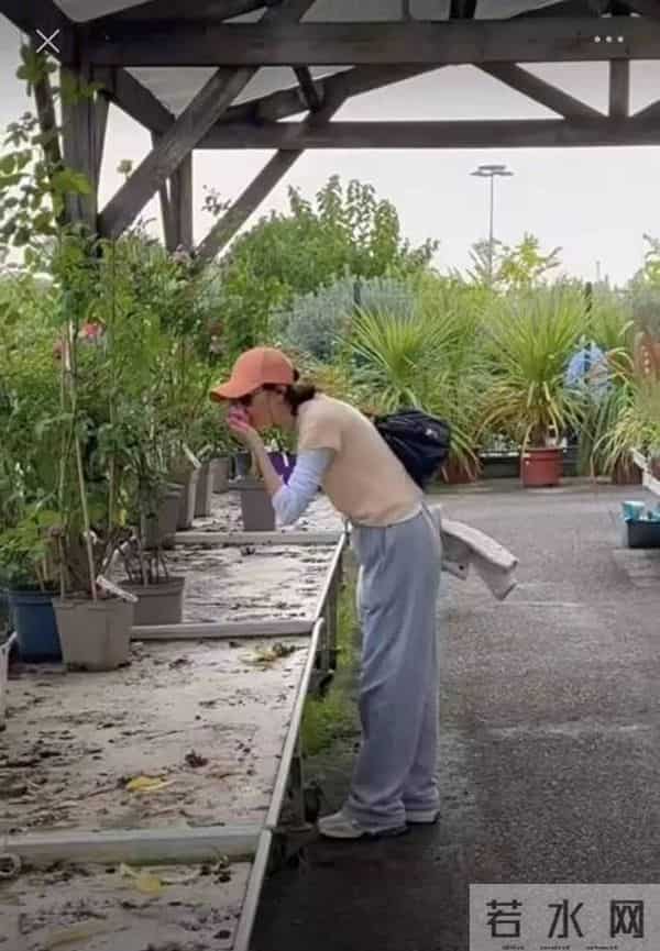 61岁张曼玉法国享受田园生活,开垦花园种果树,还亲自掏鸡蛋
