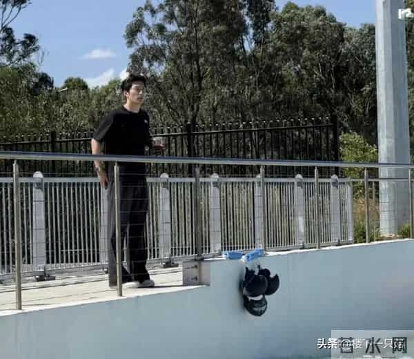 窦骁何超莲国外吃烛光晚餐 窦骁眼神黏在何超莲身上 看呆饭都忘记吃