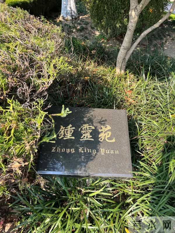 周洁上海墓地现状曝光!鲜花环绕很讲究,三个标志与李媛媛差别大