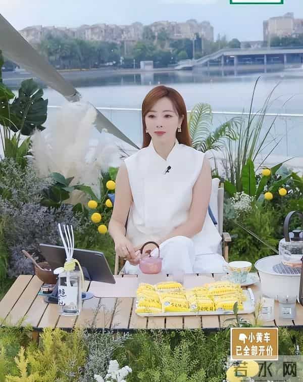 落地的凤凰不如鸡？看离开央视为钱奔波的李思思，真叫康辉说对了