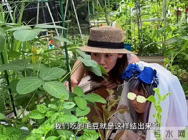 郑恺带老婆吃火锅被偶遇!苗苗穿着家居服出来,喝奶茶吃肉不怕胖