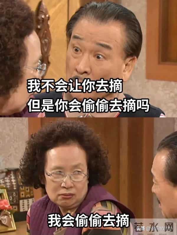 84岁罗文姬回应李顺载去世,深感悲痛,称两人原计划再合作一部剧