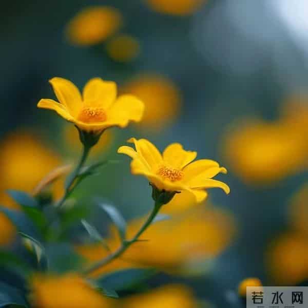 人生不只诗和远方，还有岁月沧桑，愿你心存宁静，不舍希望