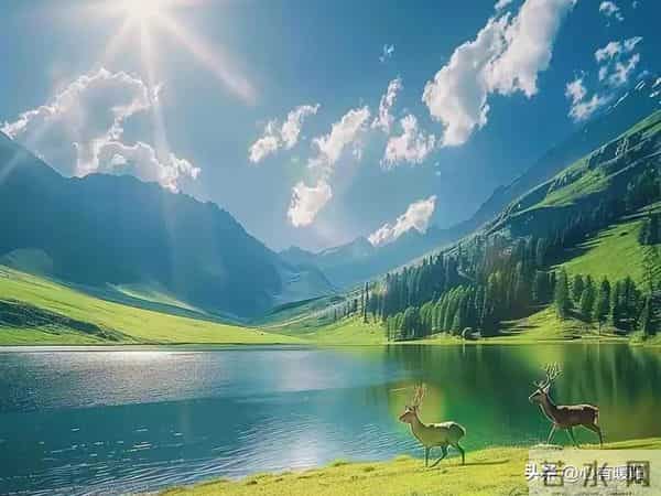 人这一生，有两不见：一是，离了婚的夫妻，二是，回过头的朋友