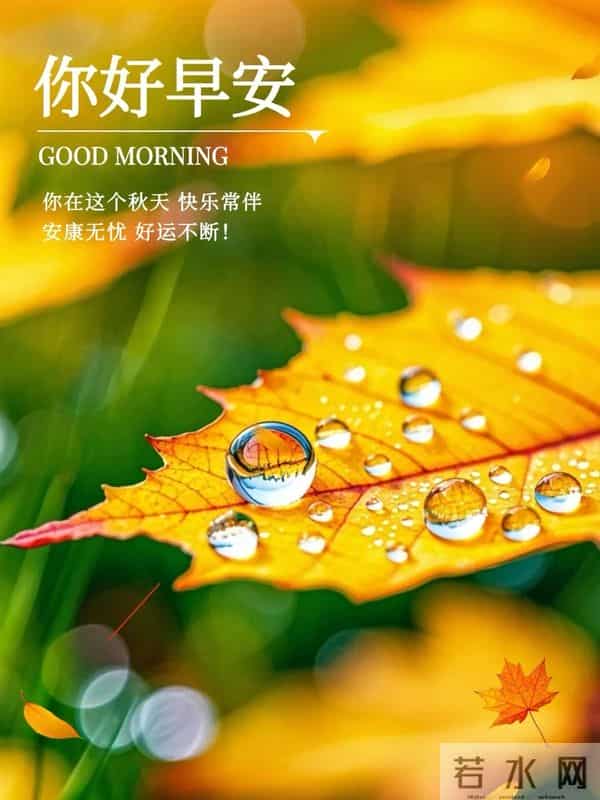 「11月27日」9张冬日早安图片:冬日有梦,幸福安宁