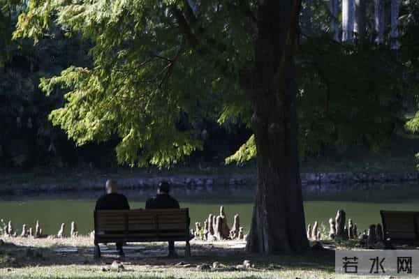 60岁后找老伴 图啥?一位大妈的大实话:就图这四点比钱实在多了