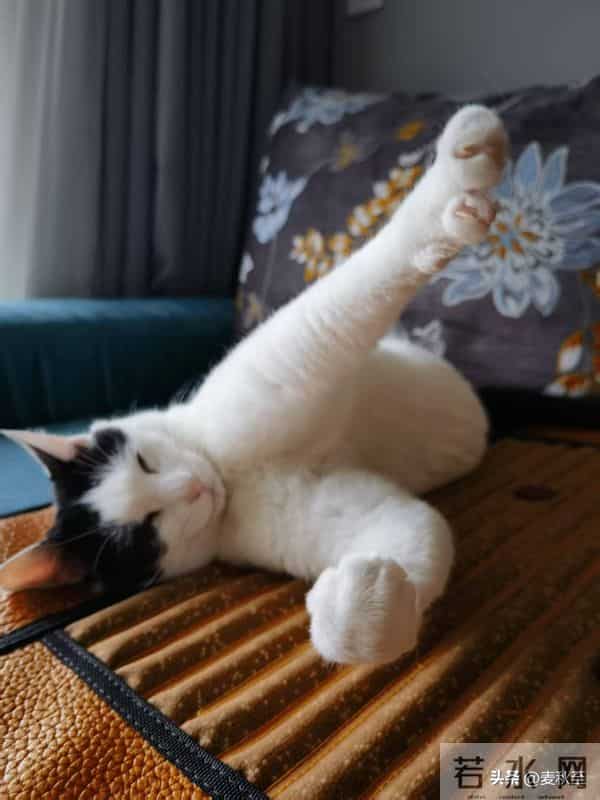 退休后,每天六件普通小事,让我快乐又充实