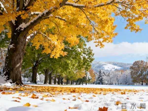 时光悠悠,岁月安然,以诗意之笔绘就浪漫,以烟火之息滋养人生。