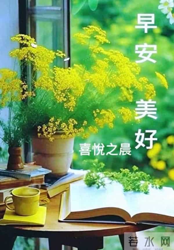 与晨光相拥,道一声温柔早安