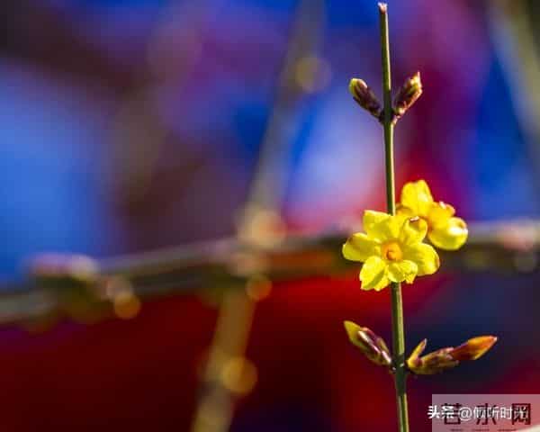 从明天起,你的人生将开启全新篇章,信不信由你!