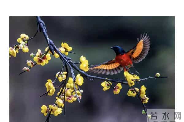 低谷不会永远困住你，今天是最后一天，下一步你将迎来崭新人生