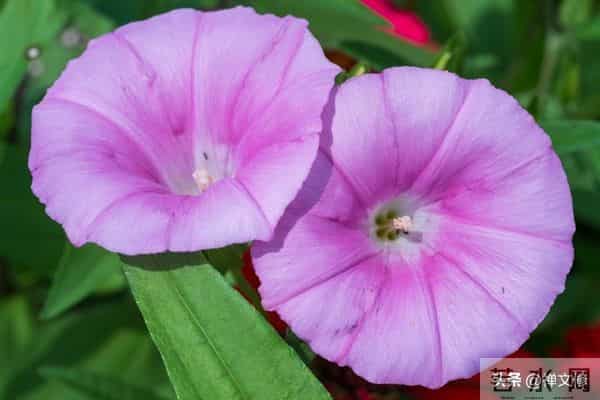 越是“理性”的女人，就越高级，她藏在这些为人处世的细节里