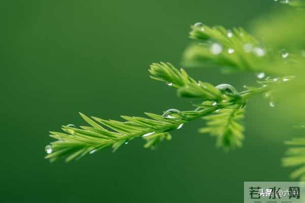 故事：婆媳关系（2）