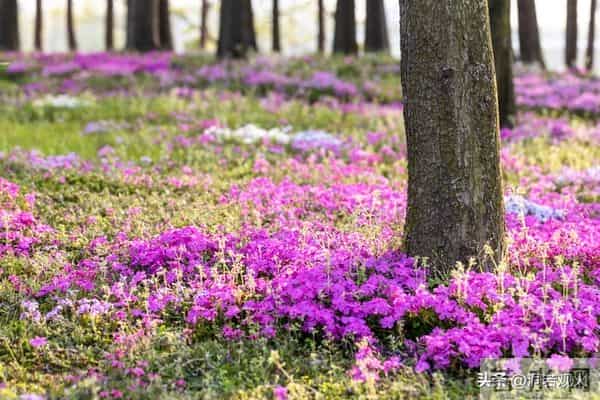 女人愿不愿意让你“泡”，看她是否拒绝这三件事，没拒绝就有戏