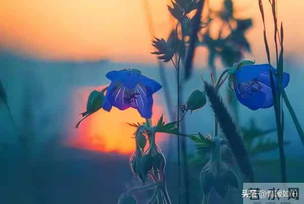 关系再亲密，女人身上也有2个“禁区”，男人千万别碰！