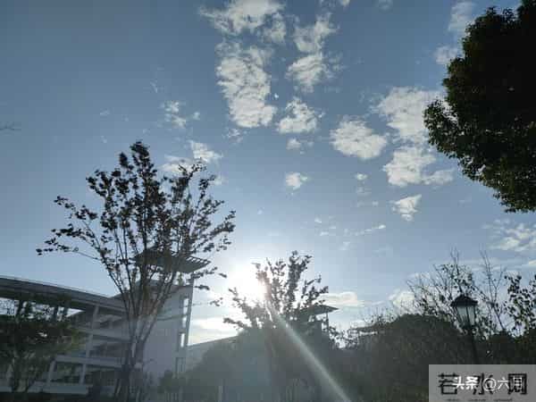 故事：婆媳关系（2）