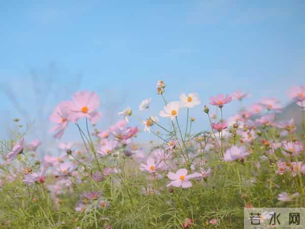 属龙人今年最大的坎,不在事在人