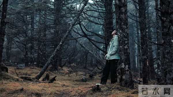 可以原谅蠢,可以容忍错,但永远不能原谅清醒地利用别人善良作恶