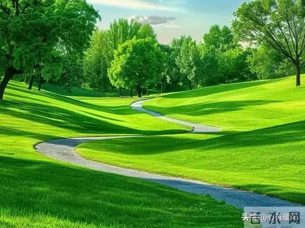 人这一生，有两不见：一是，离了婚的夫妻，二是，回过头的朋友