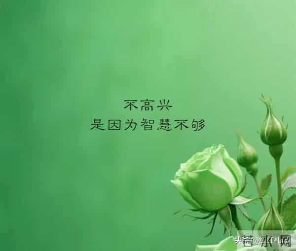 余生很短，别让遗憾太长。