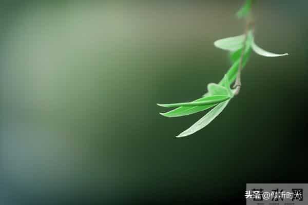 从明天起,你的人生将开启全新篇章,信不信由你!