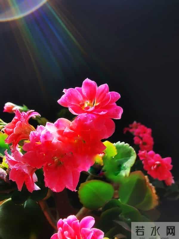 让女人彻底爱上的，往往是这样对待她的男人