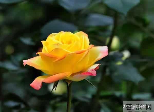 关系再亲密，女人身上也有2个“禁区”，男人千万别碰！