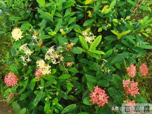 人生最大的勇敢,就是经历伤害之后,还能保持信任和爱的能力。