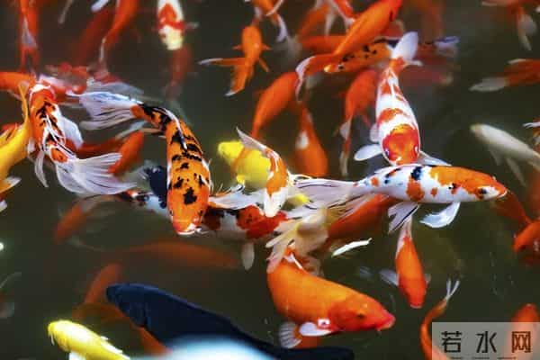 所有的不如意都过去了,从明天开始一顺百顺,好运来了。