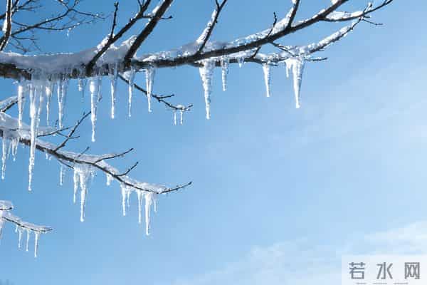 十月一，送寒衣：致我亲爱的爷爷奶奶。