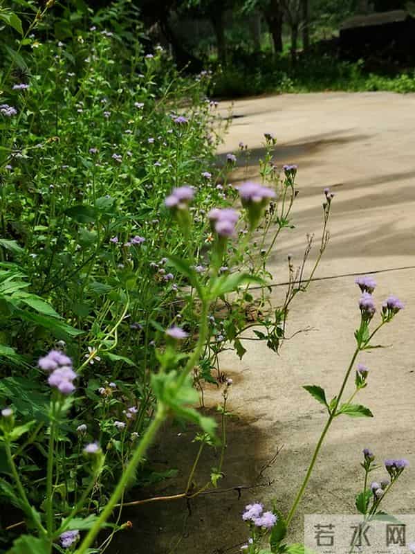 对付小人恶人,最好的方式不是硬碰硬,而是做好这3点