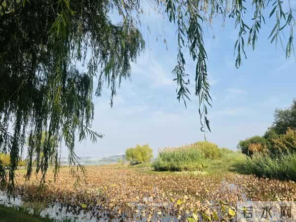 一个家庭中突然冒出这两件“喜事”，是走向衰败的征兆，别不在意