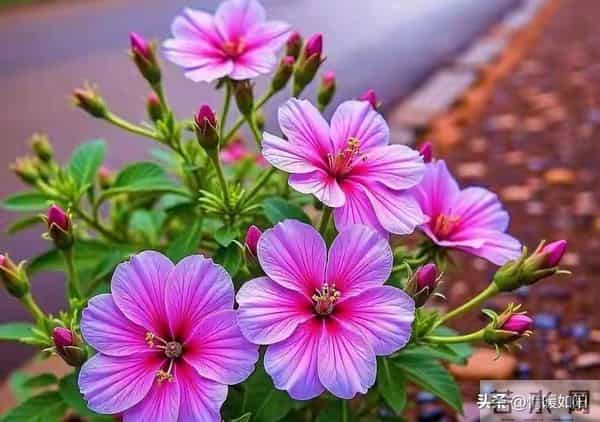 关系再亲密，女人身上也有2个“禁区”，男人千万别碰！